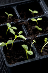 Similar image 613347