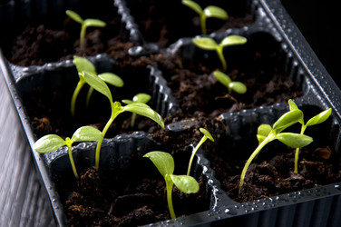 Similar image 613348