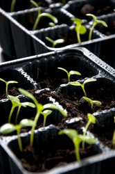 Similar image 613349