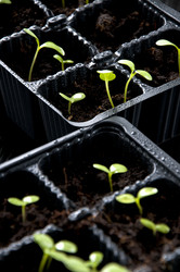 Similar image 613350