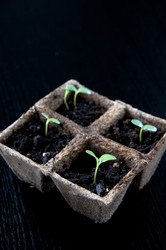 Similar image 613351