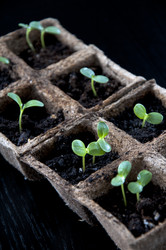 Similar image 613352