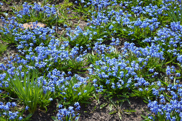 Similar image 613355