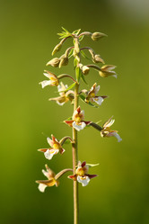 Similar image 613400