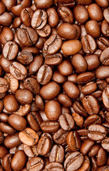 Similar image 613557