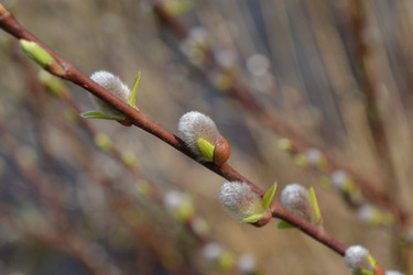 Similar image 613568