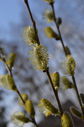 Similar image 613570