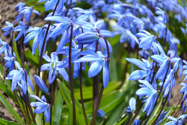 Similar image 613574