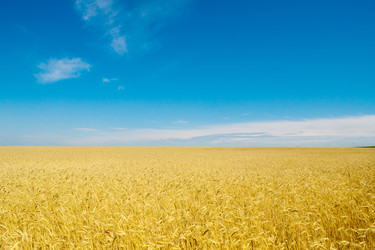 Similar image 613579