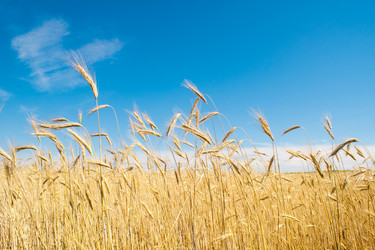 Similar image 613580