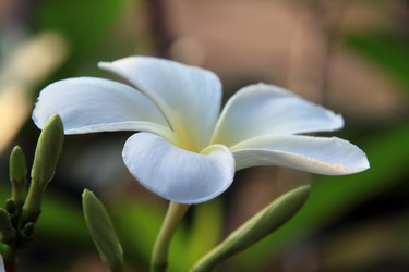 Similar image 613586