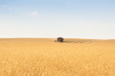 Similar image 613598