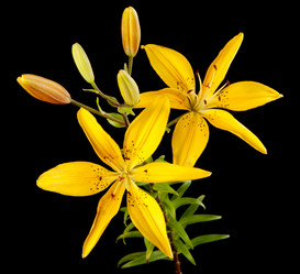 Similar image 613606