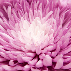 Similar image 613632