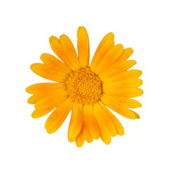 Similar image 613635