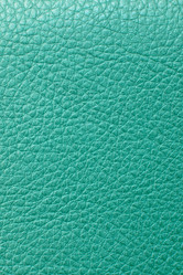 Similar image 613661