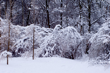 Similar image 613699