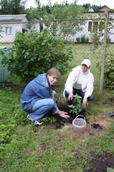 Similar image 613705