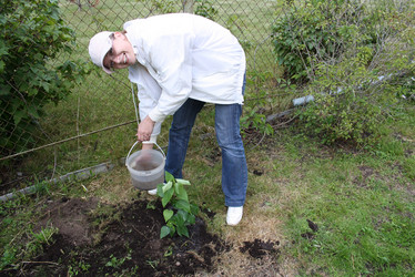 Similar image 613710