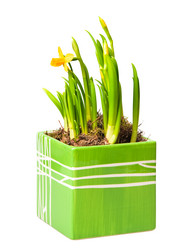 Similar image 613772