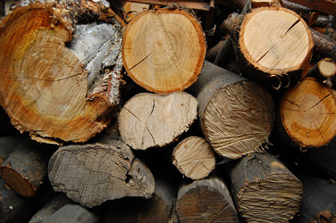 Similar image 613796