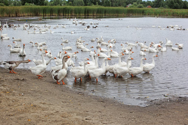 Similar image 613802