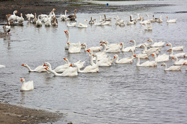 Similar image 613803