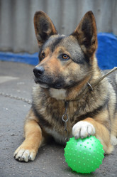 Similar image 613805