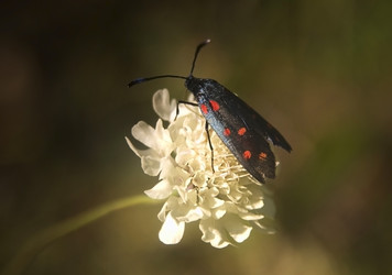 Similar image 613813