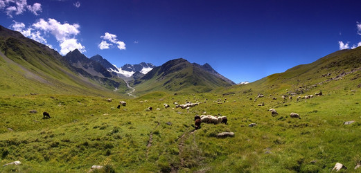 Similar image 613818