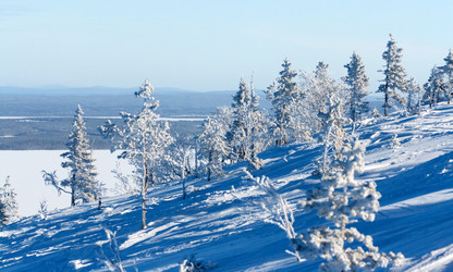 Similar image 613820