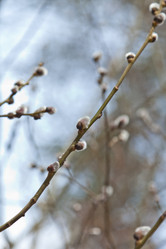 Similar image 613889