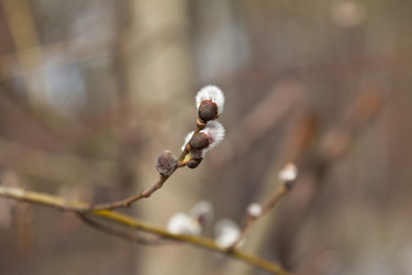 Similar image 613890