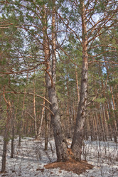 Similar image 613903