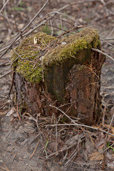 Similar image 613924