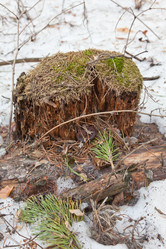 Similar image 613925