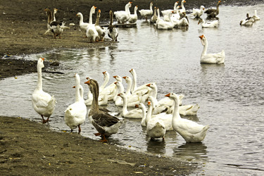 Similar image 613978