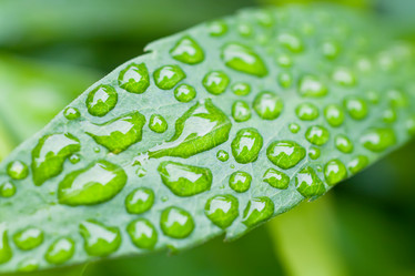 Similar image 613993