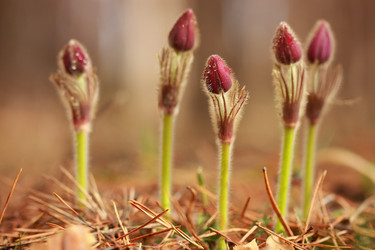 Similar image 613997