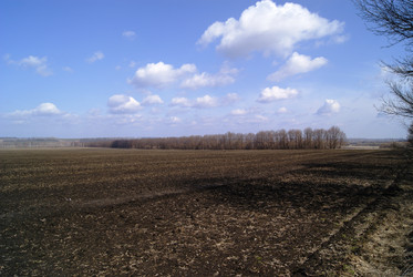 Similar image 614005