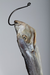 Similar image 614017