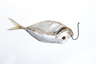 Similar image 614019