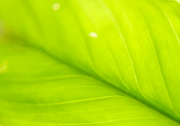 Similar image 614023