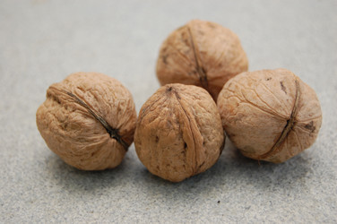 Similar image 614116