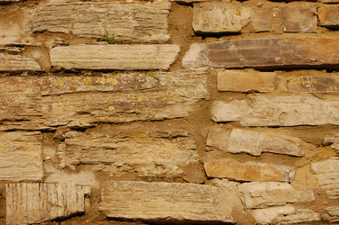 Similar image 614125