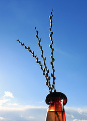 Similar image 614294