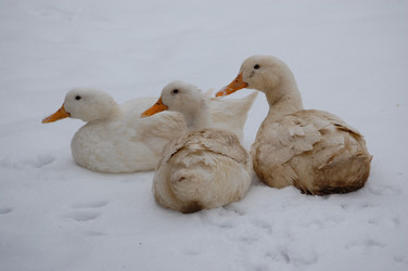 Similar image 614297