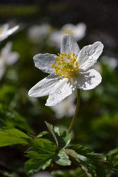 Similar image 614401