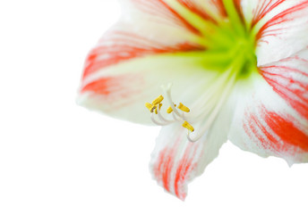 Similar image 614408