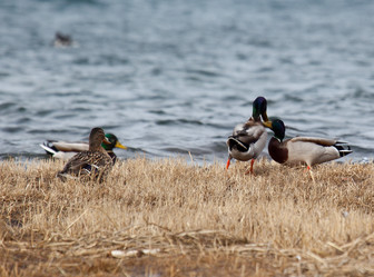 Similar image 614445